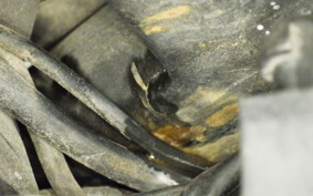 YAMAHA SEROW 250 Gen.2 2019 DG17J