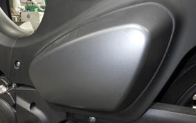 HONDA C125 SUPER CUB 2025