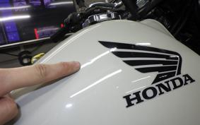 HONDA FTR223 2007 MC34