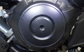 SUZUKI Vｽﾄﾛｰﾑ250A 2021