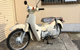 HONDA SUPER CUB50