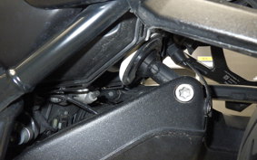 BMW R12 2024