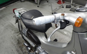 HONDA LITTLE CUB E 2006 AA01
