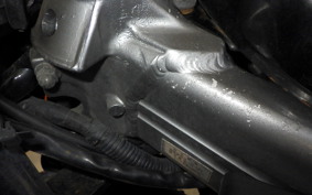 KAWASAKI ZZ-R250 EX250H