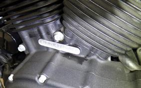 HARLEY XL883N 2020