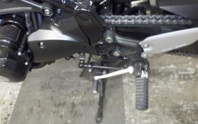 KAWASAKI Z900RS SE 2024 ZR900K