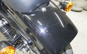 OTHER +HD. XL1200X 2015