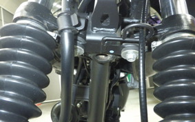KAWASAKI W175 SE