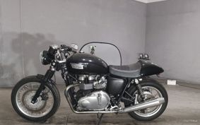 TRIUMPH THRUXTON 2014 TJ9147