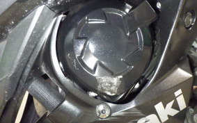 KAWASAKI NINJA 1000 A 2019 ZXT00W