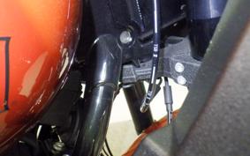 HARLEY FXLRST1920 2024