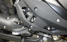BMW R1300GS 2024