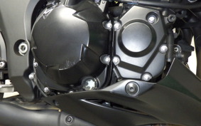 KAWASAKI Z1000 Gen.5 2019 ZXT00W