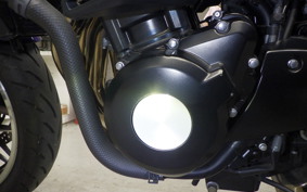 KAWASAKI Z900RS 2022 ZR900C