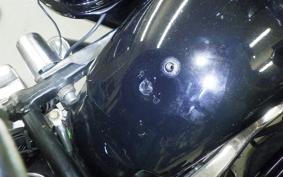 HARLEY FLH 1200 2021