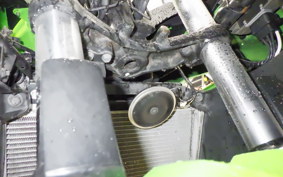 KAWASAKI NINJA 250 2026 EX250L