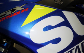 SUZUKI GSX250R 2017