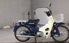 HONDA SUPER CUB50 C50