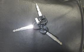 HONDA PS250 2025 MF09