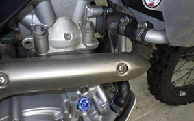 YAMAHA WR250R 2019 DG15J