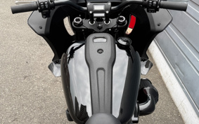 HARLEY FXLRST 2024 YXZ