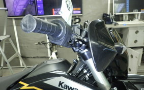 KAWASAKI KLX230 SM 2020 LX230A
