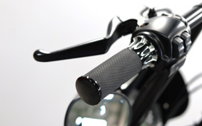 HARLEY XL1200X 2021 LC3