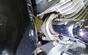 YAMAHA DRAGSTAR 250 2021 VG05J
