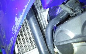 YAMAHA WR250F 2024 CG11W