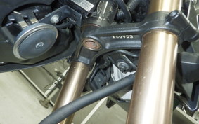 KAWASAKI Z125 PRO 2024 BR125H