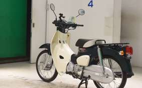 HONDA C50 SUPER CUB 2009 AA09