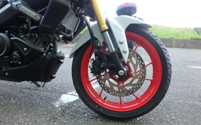 YAMAHA MT-15 RG68