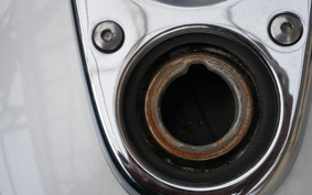 HONDA ZUMAR AF58