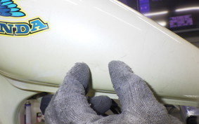 HONDA JAZZ 50 2024 AC09