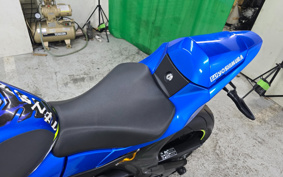 SUZUKI GSX-R1000R 2019 DM11A