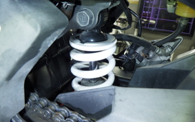 KAWASAKI NINJA 250 SL 2001 BX250A