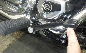 HARLEY FXBB1920 2025