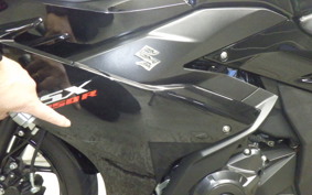 SUZUKI GSX250RA 2007