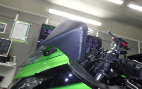 KAWASAKI NINJA 250 ABS 2024 EX250L