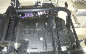 OTHER +ENFIELD ﾒﾃｵ350 2024