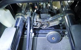 KAWASAKI NINJA 250 ABS EX250L