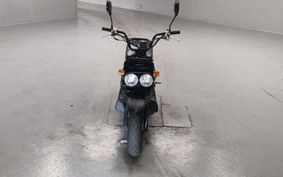 HONDA ZUMAR AF58
