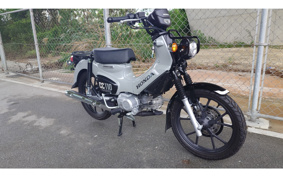 HONDA CROSS CUB JA60