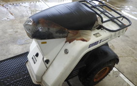 HONDA GYRO X TD01