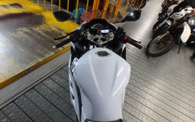 KAWASAKI NINJA 250 EX250L