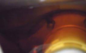 TRIUMPH DAYTONA 675 2007