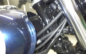 KAWASAKI W230 2022 BJ230A