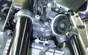 YAMAHA MT-25 A 2010 RG43J