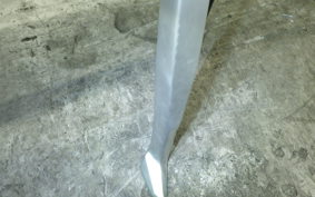 DUCATI PANIGALE V2 2024