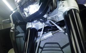 BMW F900R 2023